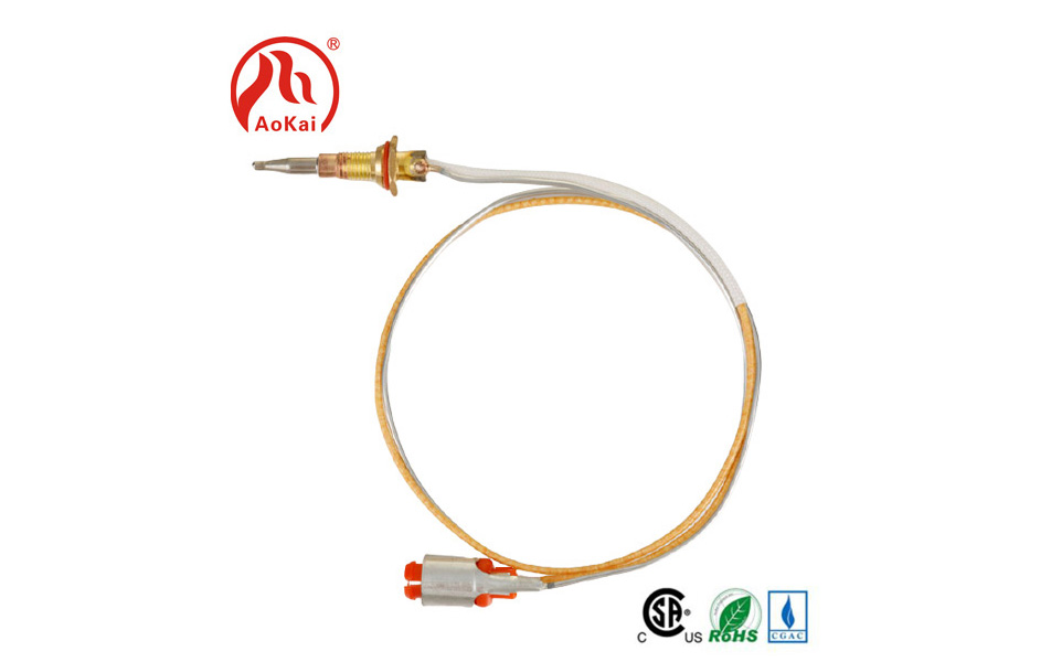 Thermocouple alang sa bayad sa temperatura sa cooker