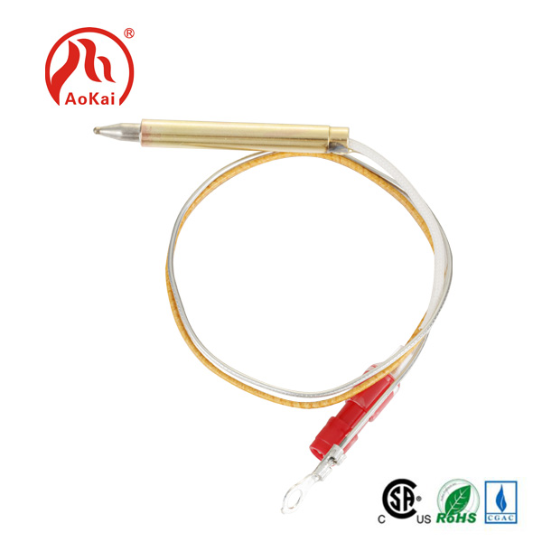 ThermocoUple Cooking: usa ka modernong pamaagi sa pagluto sa katukma